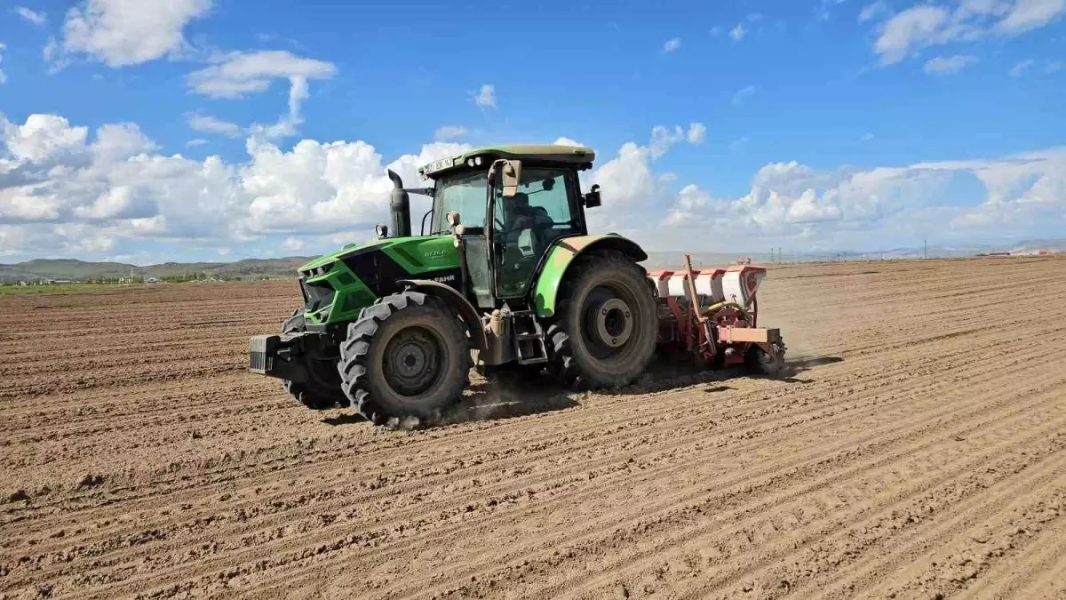 Adilcevaz'da Şeker Pancarının Ekimine Başlandı