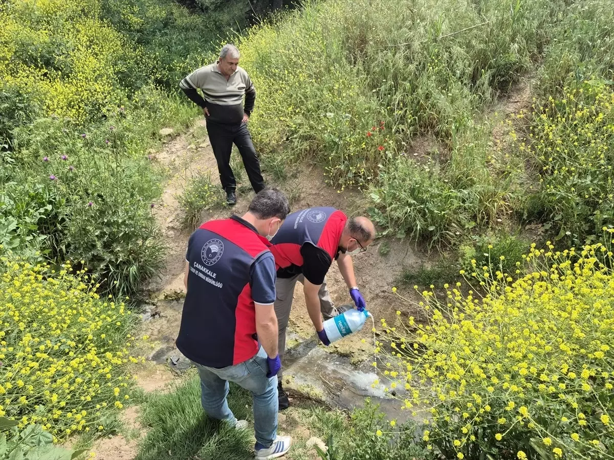 Çanakkale'de Sivrisinekle Mücadele Başlatıldı