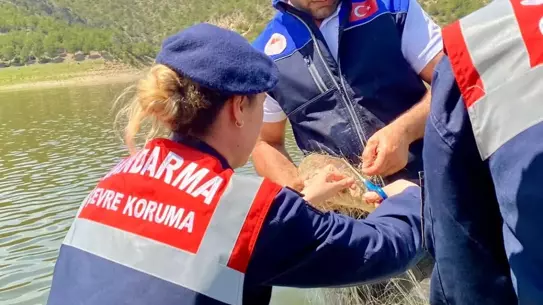 Samsun'da Takılı Balıklar Kurtarıldı