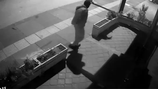 Ankara'da Kedi Hırsızlığı Kamerada