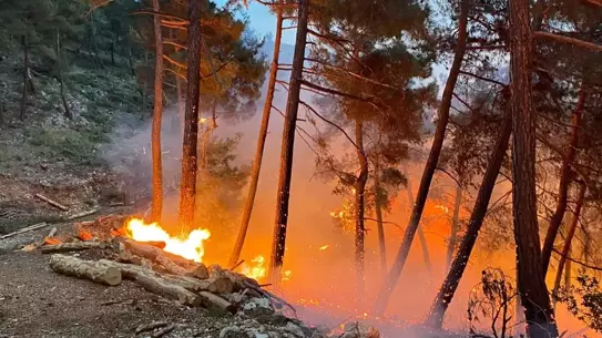 Tarsus'ta Orman Yangını Kontrol Altında