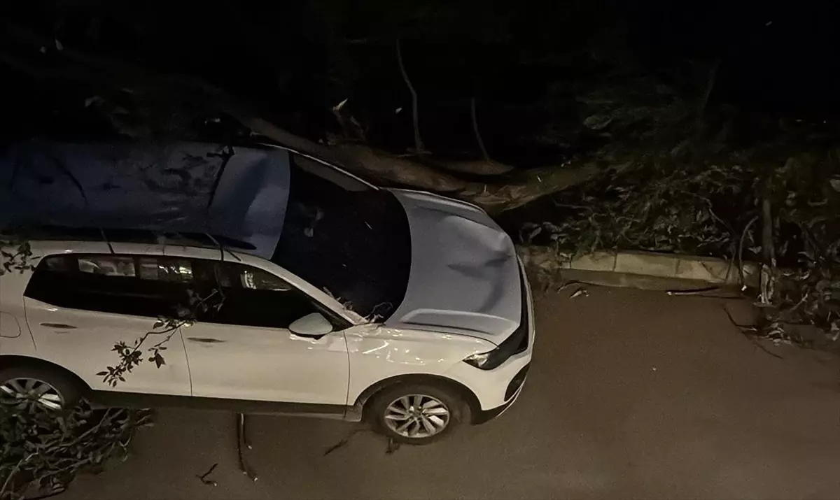 Hopa'da Fırtına Çatıları Uçurdu