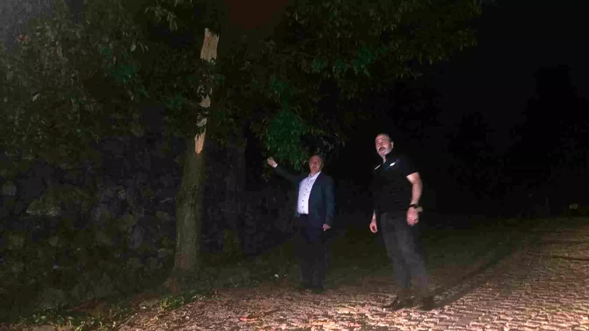 Artvin'de Fırtına Hayatı Olumsuz Etkiledi