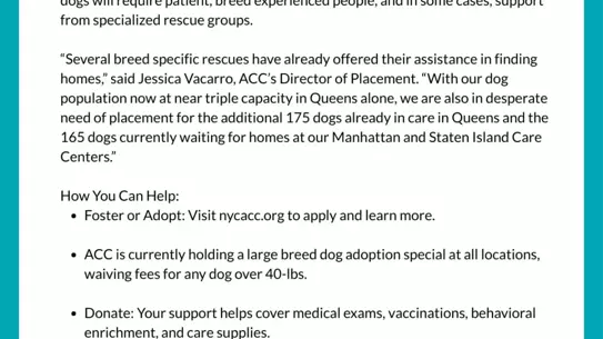 48 Köpek Sağlıksız Koşullarda Bulundu