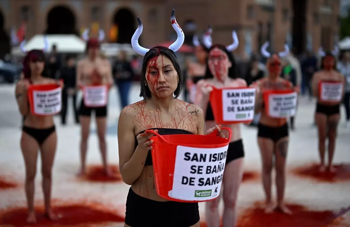 İspanya'da Boğa Güreşleri Protesto Edildi