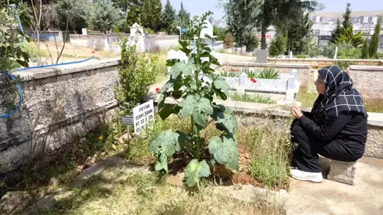 Feray Şahin için Anneler Günü'nde adalet çağrısı