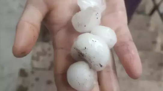 Niksar'da Selde 35 Koyun Telef Oldu