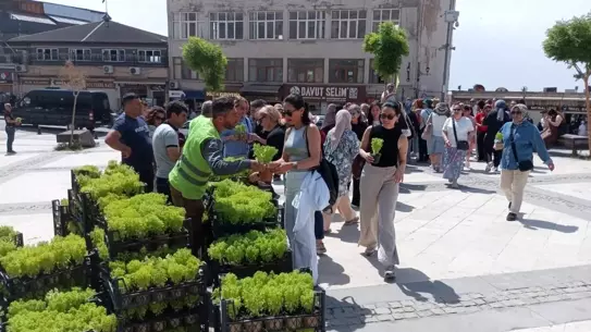 Mardin'de Anneler Günü Coşkusu: Özel Piknik ve Etkinlikler