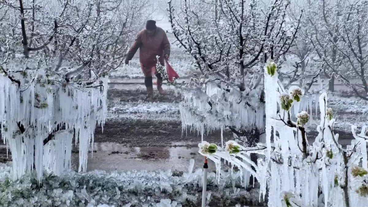 Zirai Don Komisyonu Toplanıyor