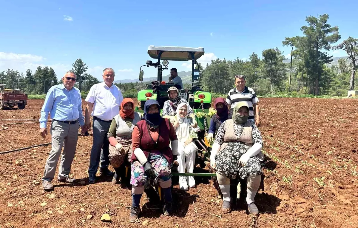 Milletvekili Sema Silkin Ün, Anneler Günü'nü Tütün Tarlasında Kutladı