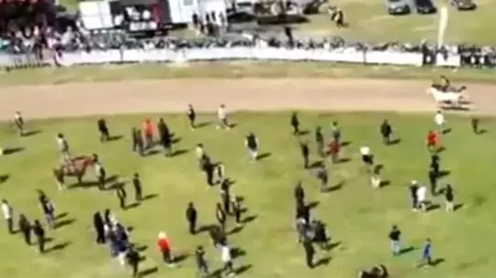 Jokeyini Atan At, Yarışı Kazandı