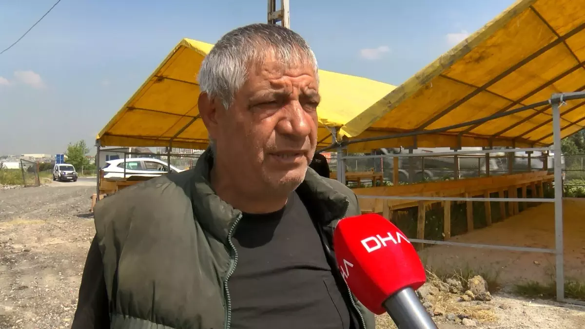 İstanbul'da Kurban Pazarı Hazırlıkları Başladı