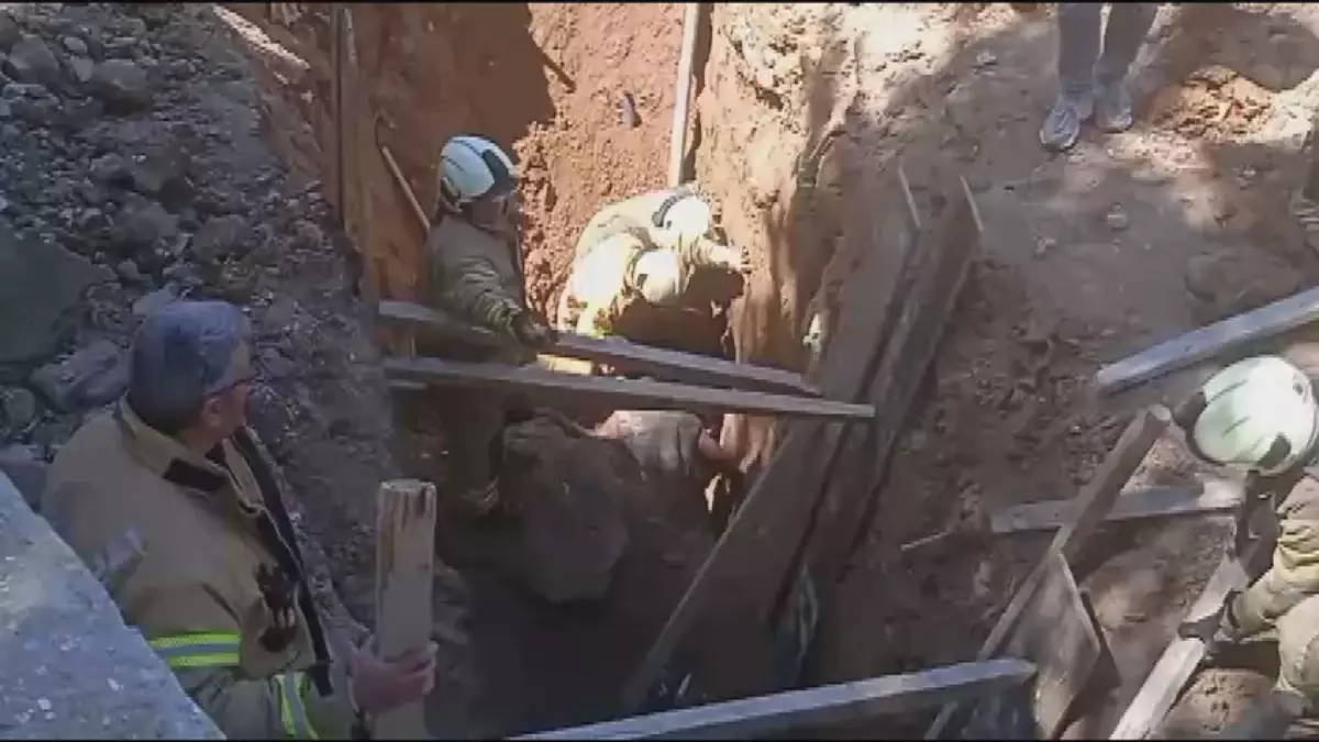 Yeni Gelişmeler Yolda