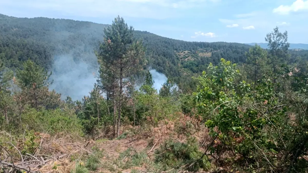 Yenice'deki Orman Yangını Kontrol Altına Alındı
