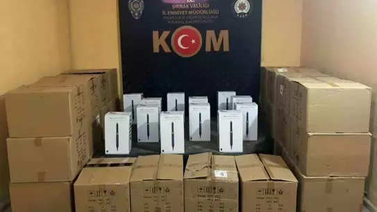 Şırnak'ta 53 Gözaltı, 4 Tutuklama