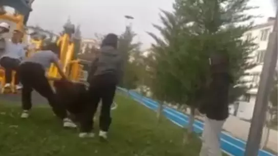 Öğrenci Parkta Darbedildi