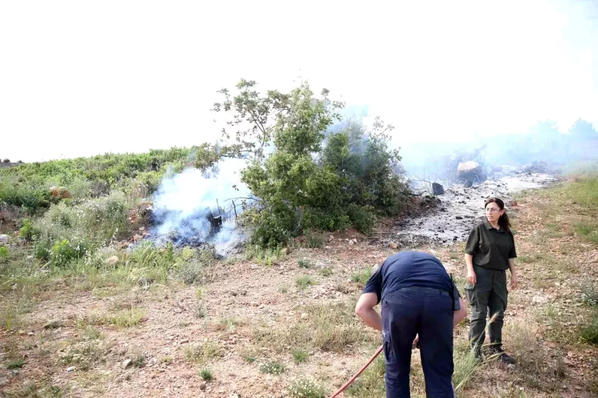 Alanya'da Yangın Kontrol Altına Alındı