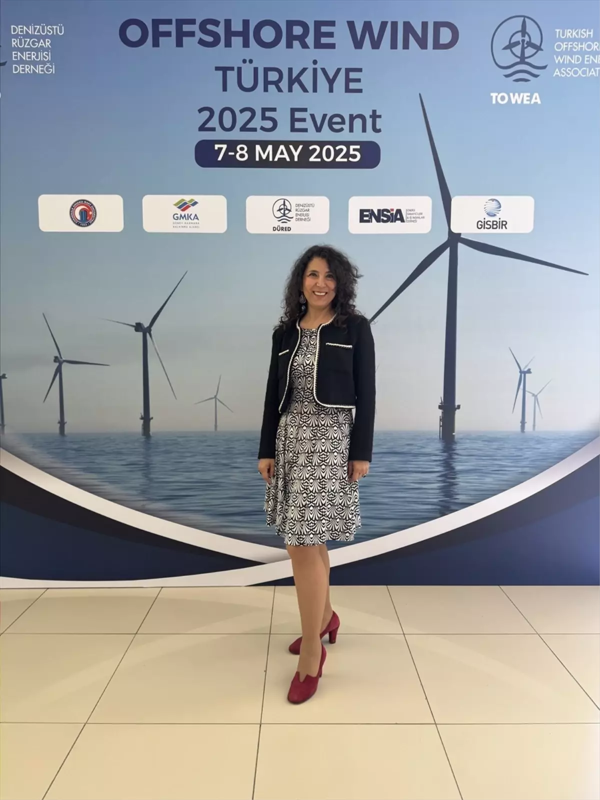 Türkiye'nin Deniz Üstü Rüzgar Enerjisi Potansiyeli