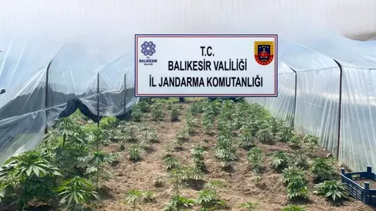 Balıkesir'de Uyuşturucu Operasyonu: 50 Gözaltı