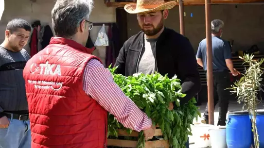 TİKA'dan Azerbaycan'a 1 Milyon Fidana Destek