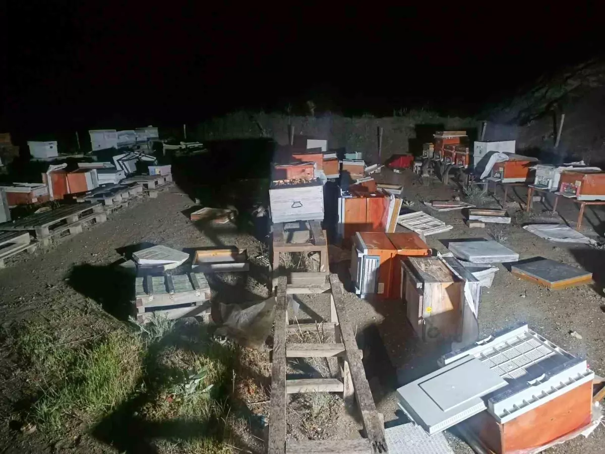 Bilecik'te Yangın, 35 Arı Kovanı Zarar Gördü