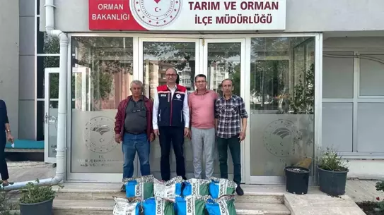 Edirne'de Fasulye Üretimi Destekleniyor