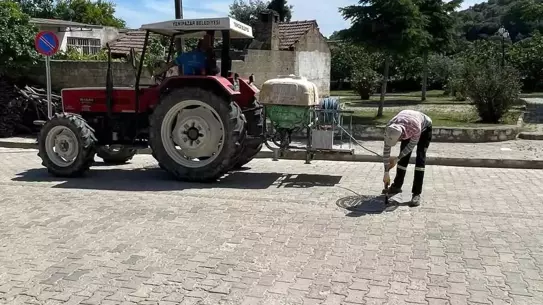 Yenipazar'da Haşereyle Mücadele Çalışmaları Başladı