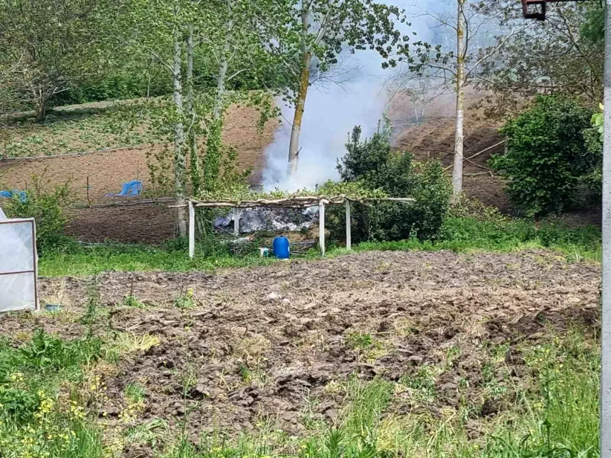 Sinop'ta Tarla Yangın Paniği!