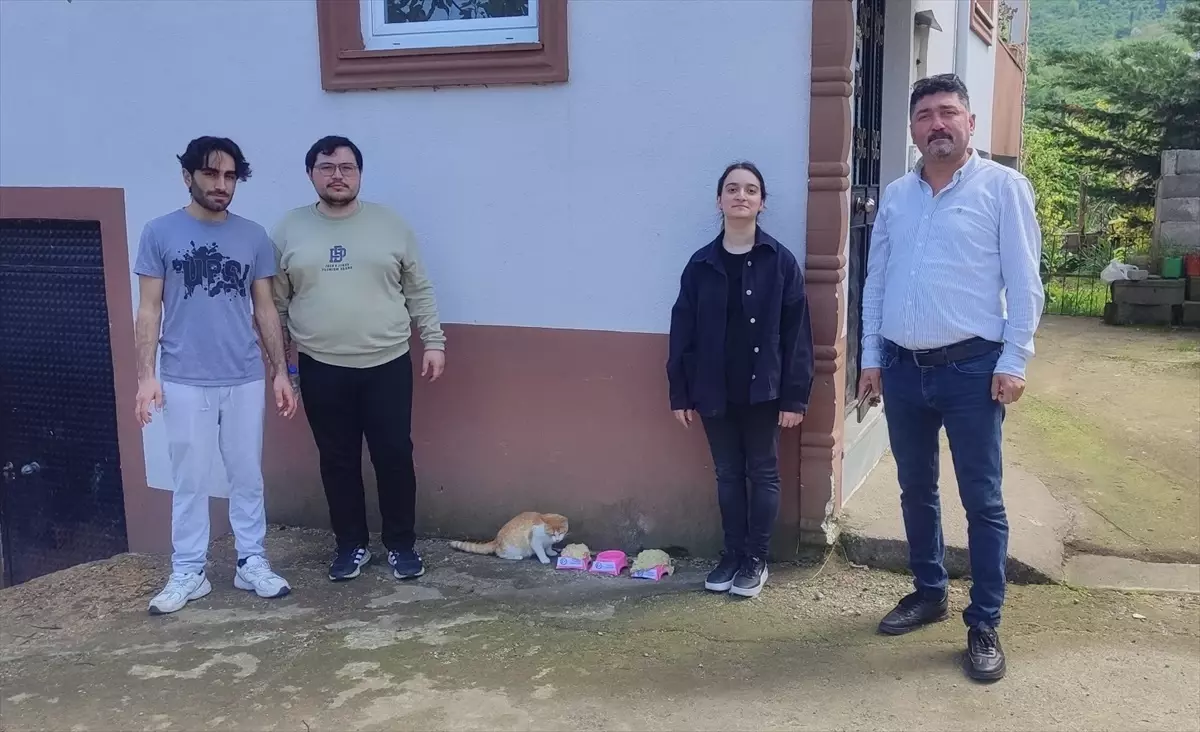 Giresun'da Öğrenciler Kedilere Mama Hazırladı