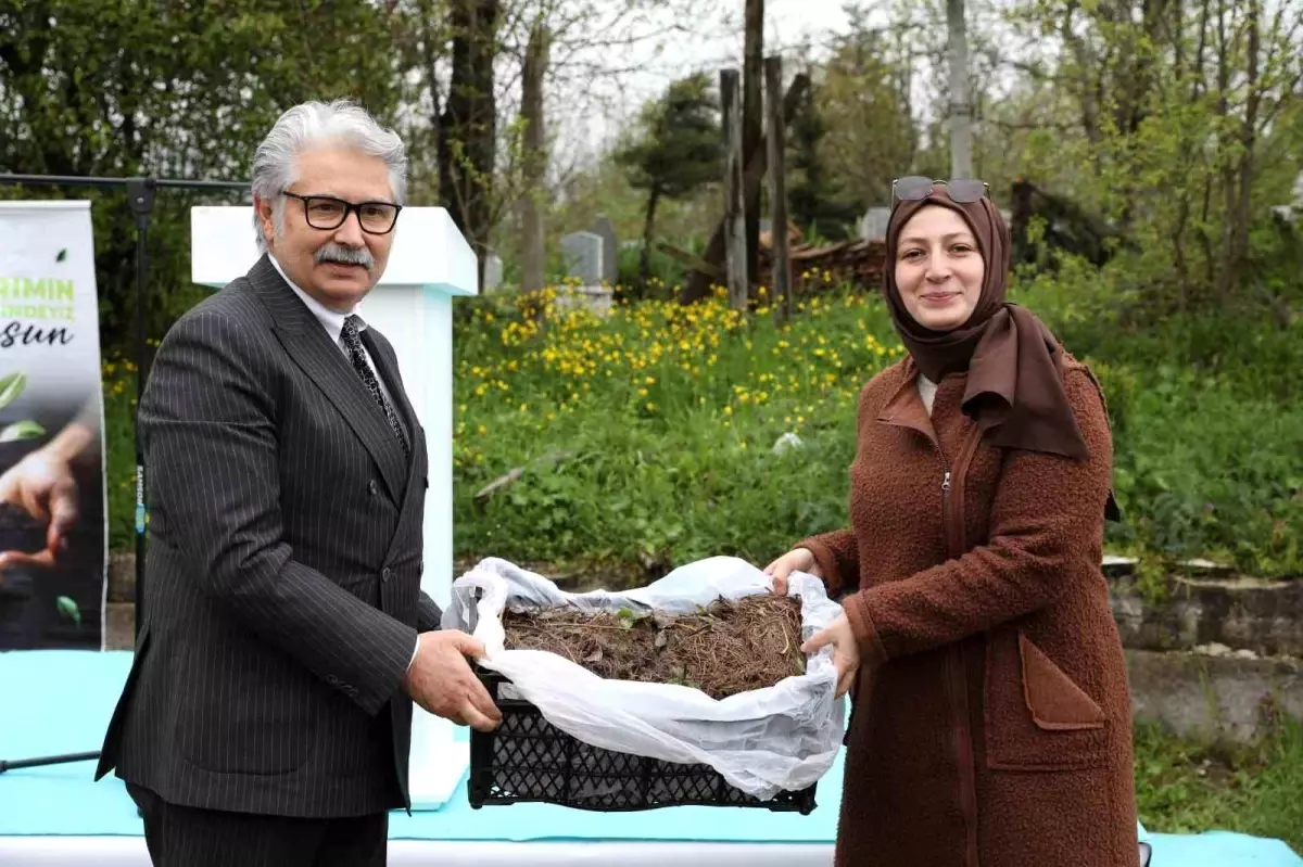 Samsun'da Çilek Üreticilerine 1.5 Milyon TL Destek