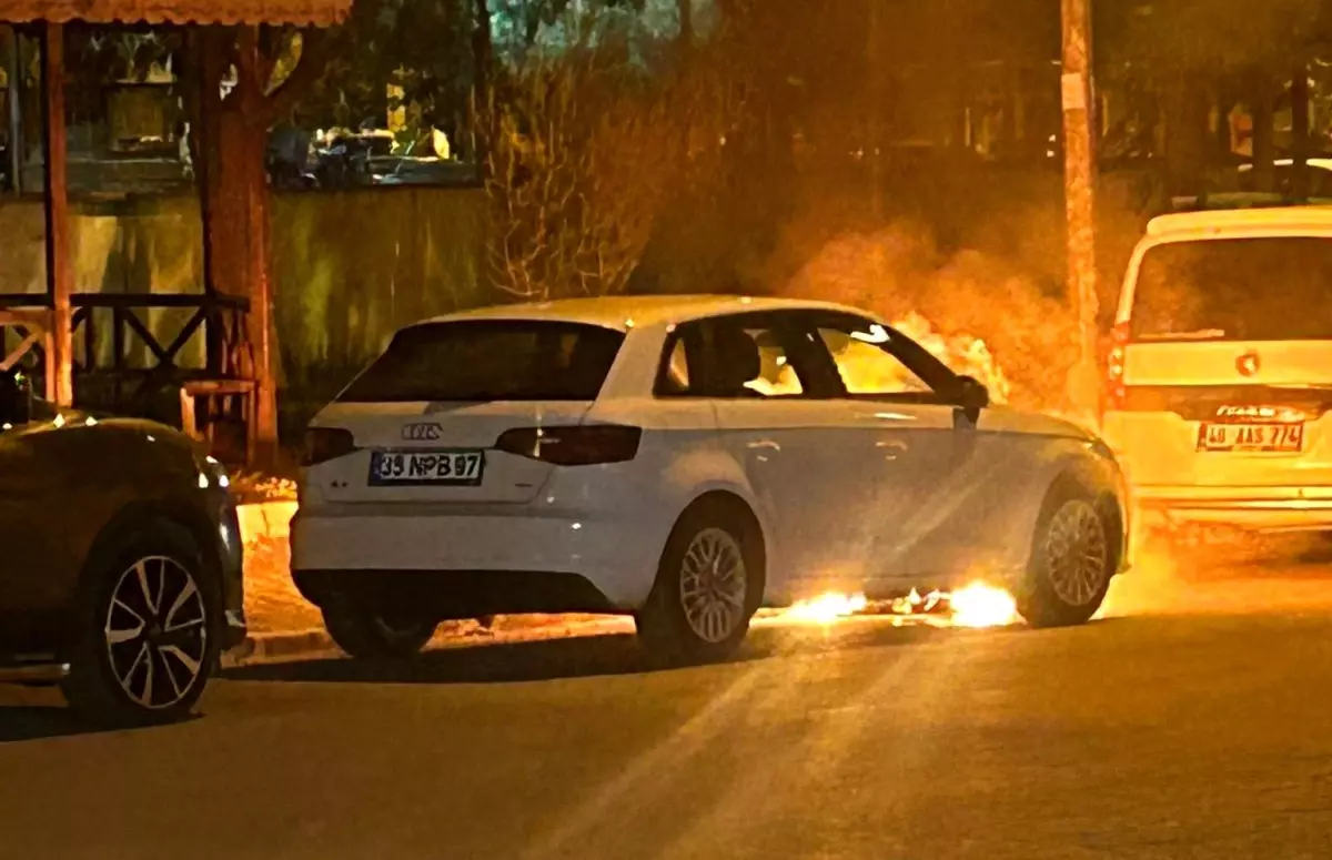 Birecik'te Lüks Araç Alev Aldı