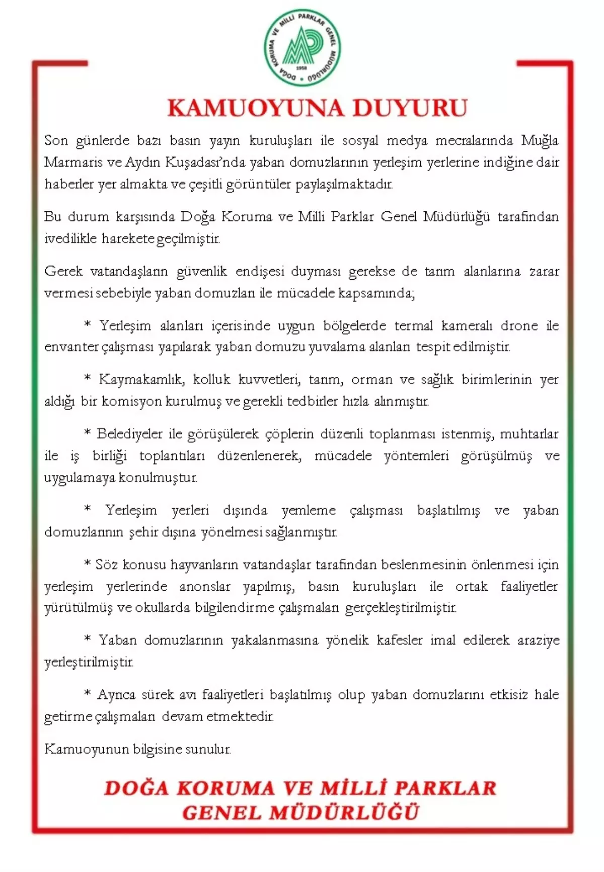 Yaban Domuzlarıyla Mücadele Başlatıldı