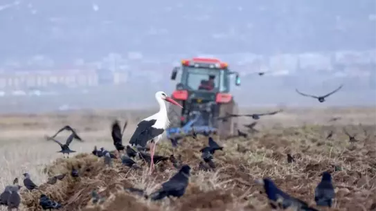 Nisan'da Türkiye'de 191 bin araç kaydedildi