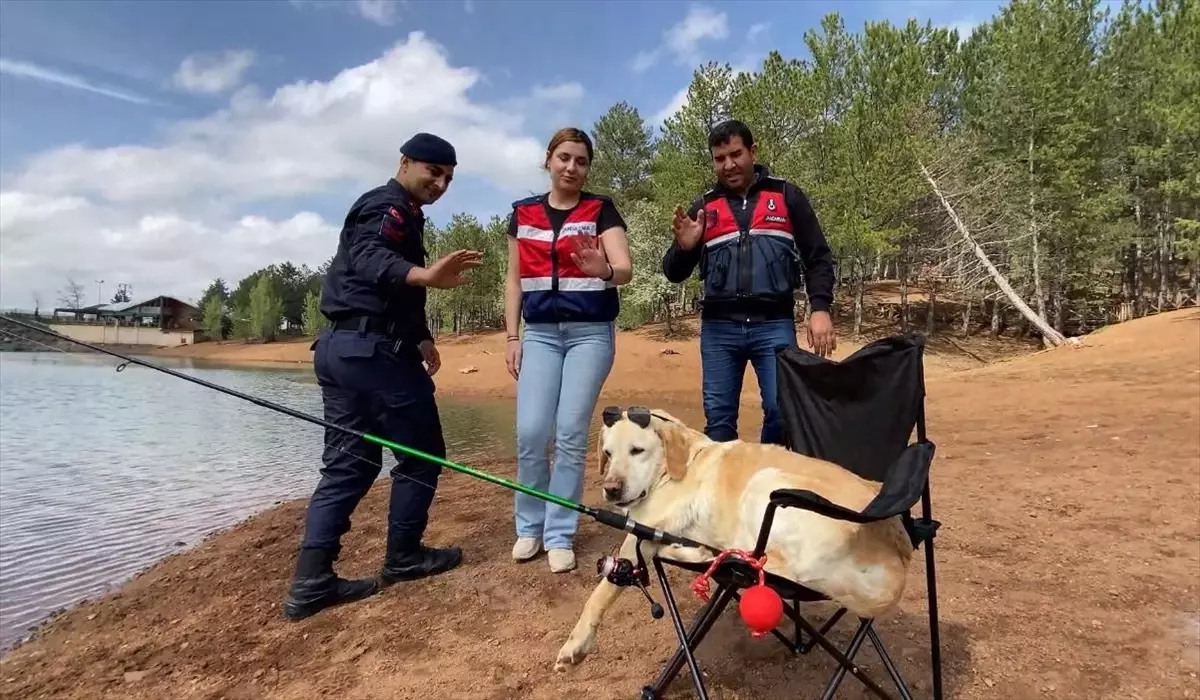 İz Takip Köpeği Dost Emekli Oldu