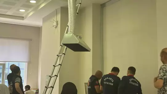 Kedi ve Yavrusunu Kütüphanede Kurtardılar