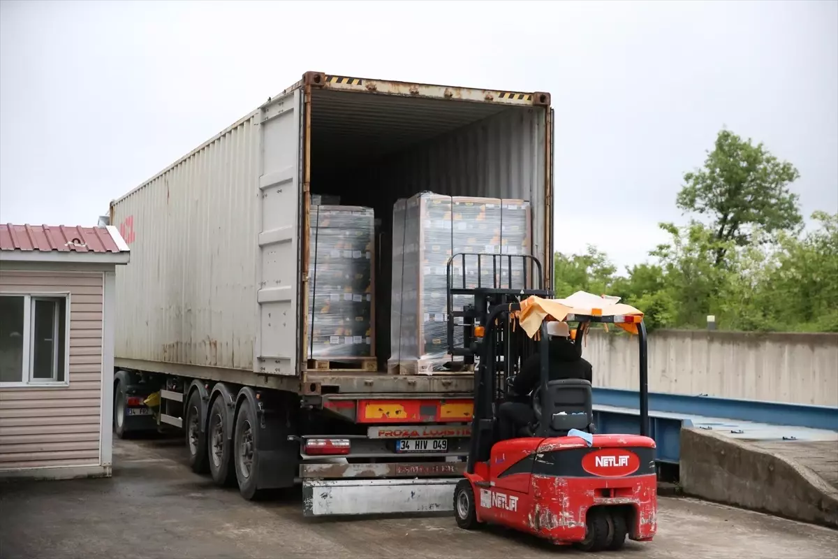 Ordu'dan 1000 Ton Bal İhracatı Hedefleniyor