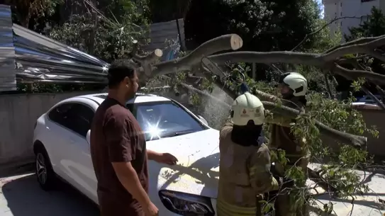 Kadıköy'de Ağaç, Park Halindeki Aracın Üzerine Devrildi