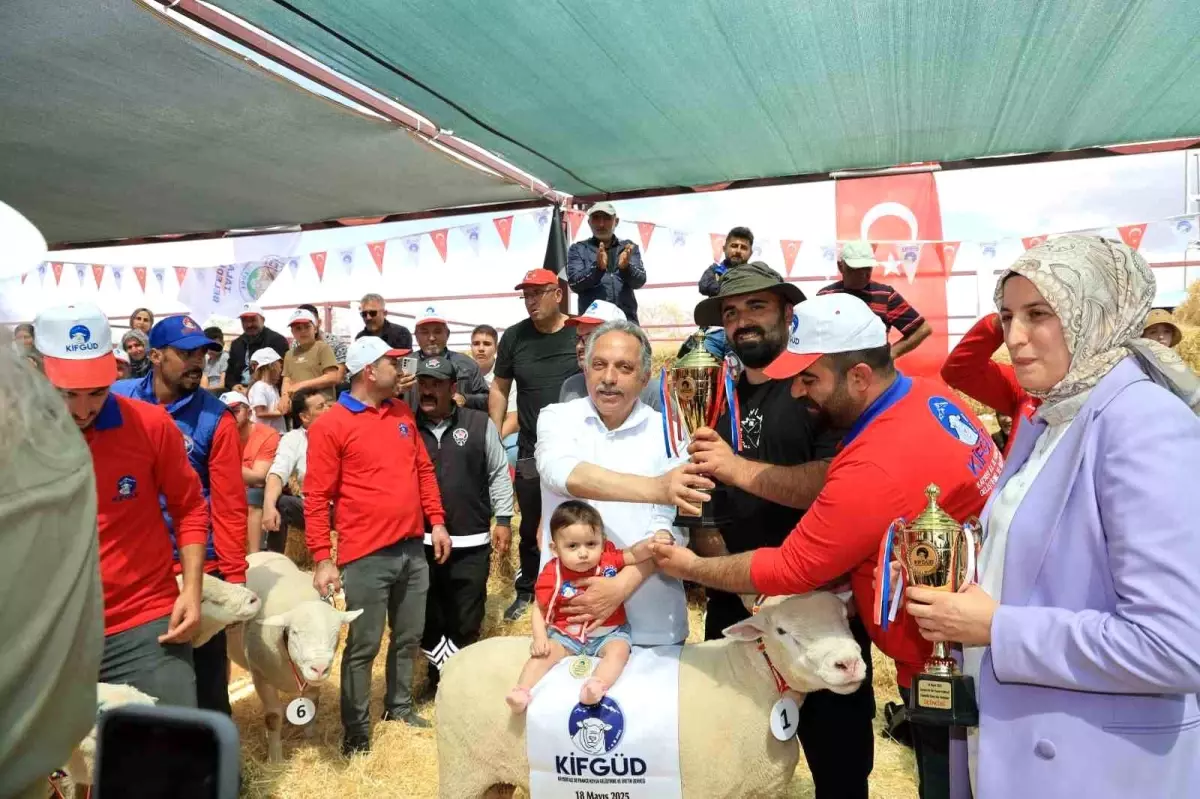 Talas Belediyesi'nden Renkli Etkinlikler