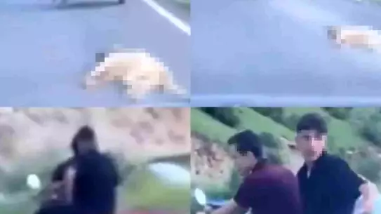 Köpeği Sürükleyen Şahsa 50 Bin TL Ceza