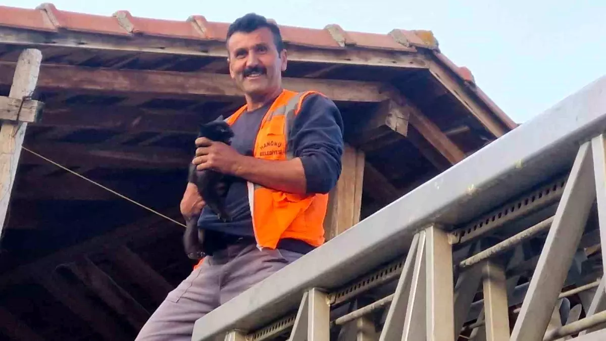 Hanönü'nde Mahsur Kalan Kedi İtfaiye Ekipleri Tarafından Kurtarıldı