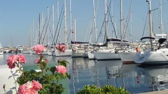 Türkiye, 577 Mavi Bayraklı Plaj ile Üçüncü Oldu