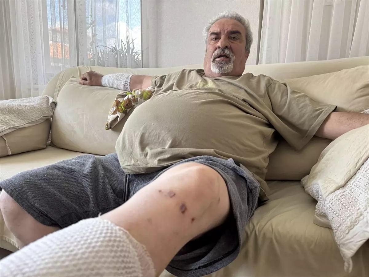 Sahipsiz Köpek Saldırısı
