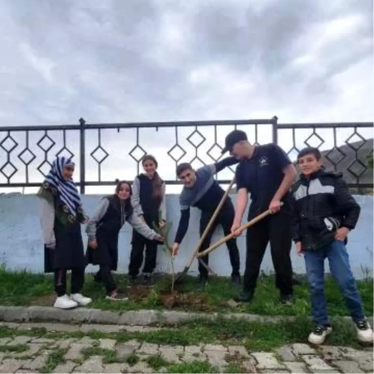 Öğrenciler Fidan Dikti