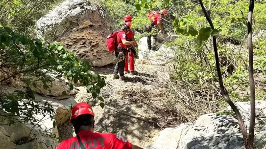 Fethiye'de Kaybolan Köpek Kurtarıldı