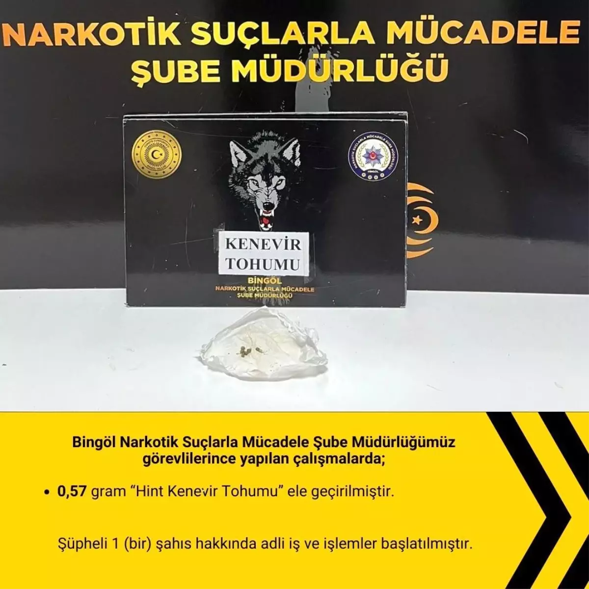 Bingöl'de Narkotik Uygulaması