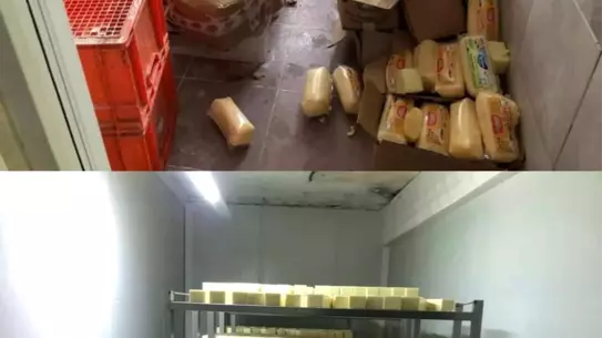 Sakarya'da 5 Ton Sahte Peynir Ele Geçirildi