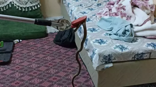 Tarsus'ta Yılan Yakalandı