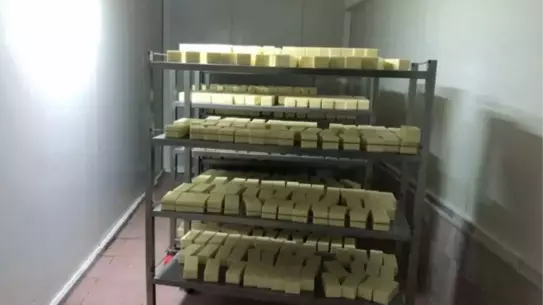 Pamukova'da 5 Ton Sahte Peynir Ele Geçirildi