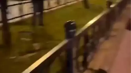 Bursa'da Bayrağı Yakmaya Çalışan Engelli Şahıs Yakalandı