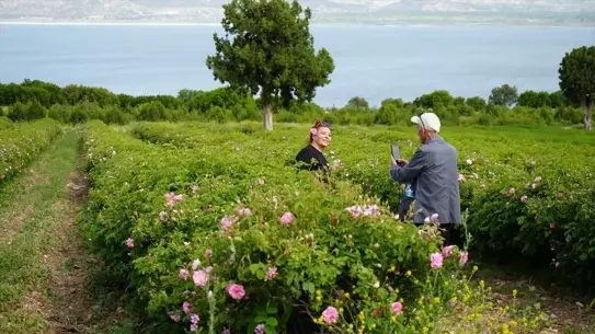 Burdur'da Gül Hasadı Turizmi Canlandırıyor